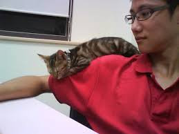 2009.08.05 我要睡在這裡…