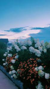 Spring Aesthetic Wallpapers Top Free Spring Aesthetic Backgrounds Wallpaperaccess See more about wallpaper, aesthetic and aesthetic wallpaper. spring aesthetic wallpapers top free