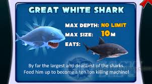 If you are tired of leveling up the megalodon to level 10 (which is hard) then you can buy big daddy for 900 gems. Hungry Shark Evolution Quick Walkthrough And Missions Guide Urgametips