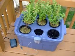 The dutch bucket system is an inexpensive type of diy dwc hydroponic system that lets farmers grow large crops with high nutrient needs in simple, isolated systems to prevent disease from spreading to other plants.dutch bucket systems are popular with tomatoes and vining plants that can be trained to grow up from the bucket. How I Built My Diy Hydroponic System And Hydroponic Garden