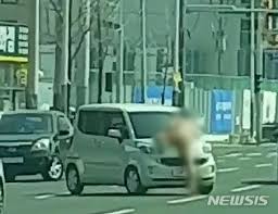 06.23 ★ 105차 제품평가단 행사 및 평가단 모집 안내 06.23 ★ 제품평가단 선정 기준 변경 05.26 긴급 패류독소 주의보 발령 05.04 5/16 ~ 6/30 참문어 금어기 입니다. ë‰´ì‹œìŠ¤