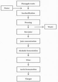 Metabolite Profiling And Volatiles Of Pineapple Wine And