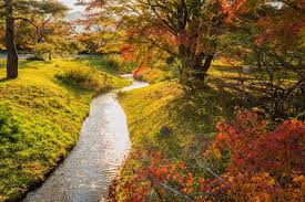 The 17th to 29th november 2018 saw me travel half way across the world to japan. Autumn Hotspots In Kyoto And Nara Autumn Scenery Kyoto Scenery