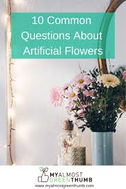 Check spelling or type a new query. 10 Common Questions About Artificial Plants And Flowers My Almost Green Thumb