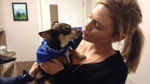 Devoted dog recovering from broken heart now faces heartworm treatment