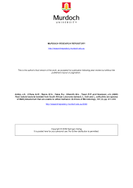 Image result for Lotononis bainesii