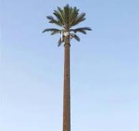 China Bionic Camouflaged Pine/Palm Tree Antenna Cell ...