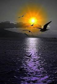  Good Afternoon Senja 8Éª Penghujung Waktu Crystal Dive Award Winning 5 Star Scuba Diving On Tropical Koh Tao Ilustrasi Alam Pemandangan Fotografi Pemandangan