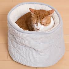 犬 猫用ペットベッド nウォーム q o コーディ 通販 ニトリネット 公式 家具 インテリア通販 インテリア 家具 ペットベッド ニトリ