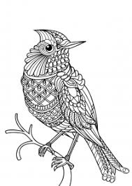 Eagle in the sky coloring page. Eagle Birds Adult Coloring Pages
