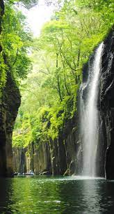 日本の滝百選に選ばれている真名井の滝 まないのたき 風景 滝 樹木