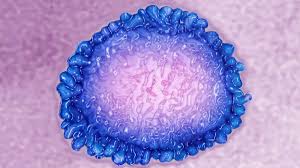 Home » unlabelled » corona karte bayern aktuell : 15b6b95rmaldbm