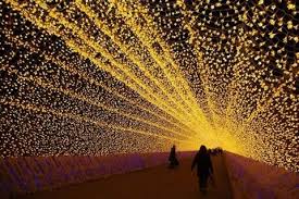 Amazing Light Installation At A Japanese Botanical Garden Nabana No Sato Light Installation Light Tunnel