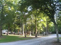 Maybe you would like to learn more about one of these? Abbeville Rv Park Louisiana Travel