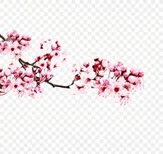Cherry Blossom Tree Drawing Png 950x897px Watercolor Blossom Branch Cardcaptor Sakura Cardcaptor Sakura Clear Card Download Download cherry blossom emoji icon. cherry blossom tree drawing png