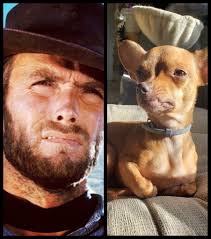 Naming Children after Famous Western Actors like Clint Walker and Clint  Eastwood