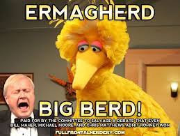 Ermagherd Big Berd Big Bird Bird Sesame Street