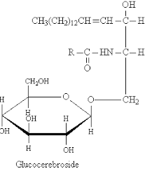 Lipids
