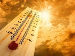 Weather today in woodridge, south africa is going to be partly cloudy with a maximum temperature of 15°c and minimum temperature of 4°c. Woodridge Il 60517 Weather Forecast