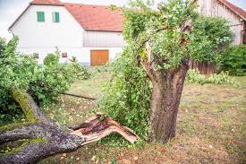 Bitte geben sie einen ort an. Gewitter Im Rems Murr Kreis In Schorndorf Knickt Der Wind Baume Um Stuttgarter Nachrichten