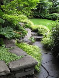 Pin On Shade Garden