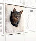 Pin Op Leuk Voor Katten