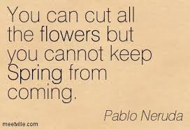 Pablo Neruda Spring Pablo Neruda Friendship Quotes Spoken Word Poetry