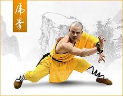 Shaolin Tiger Style Shaolin Kung Fu Kung Fu Martial Arts Martial Arts