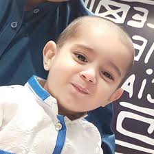 ♻️♻️HOYLAND WASTE REMOVALS♻️♻️ ❤️wheelie bin empties. ❤️Black bags of  household waste. ❤️landlord clearences. ❤️bereavement clearences. ❤️garden  clearence. ❤️building waste. ❤️rubble ❤️wood ❤️mattress removal. We take  any ...