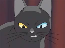 The anime is about black cat, also known as train heartnet, who once was an assassin for the organization chronos. 25 Best Cats In Anime The Ultimate Feline List Fandomspot