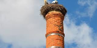If this is the case, then you simply go up to the roof and using a chimney sweep you simply pull the nest out of the chimney. Hear Birds In Your Chimney Here S What You Do Anderson Wildlife Llc