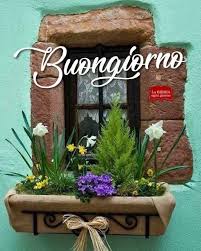 Buongiorno Buongiorno Buongiorno Saluti Buongiorno Fiori