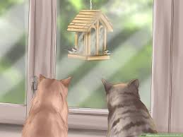How to keep cats out of the garden? 4 Ways To Keep Cats Out Of The House Wikihow