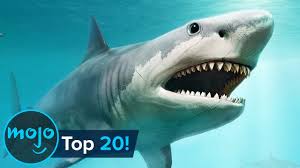 But have you ever thought about it more closely? Top 20 Extinct Animals Youtube