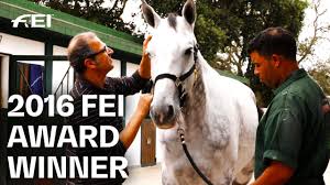 She has indeed made several of those. At Peder Fredricson S Farm Insights Into The Life Of A Showjumping Legend Equestrian World Youtube