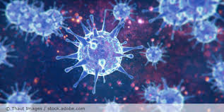 A network hub is a common connection point for devices in a network. Conseil De Etat Ruling On The Data Health Hub The Start Of Schrems Iii Or Rather A Turning Point Datenschutz Notizen News Blog Der Datenschutz Nord Gruppe