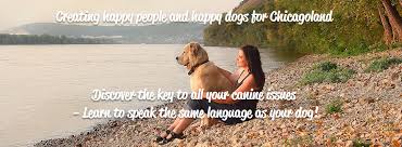 Maybe you would like to learn more about one of these? Who S The Boss Dog Training