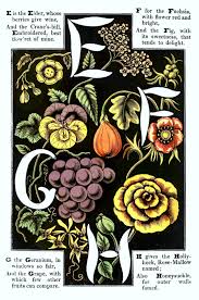 Hansen communication lab developed the concept of the five c's of communication, which are the following: Digital Download The Alphabet Of Flowers And Fruit E F G H C 1856 Thirdshiftvintage Com