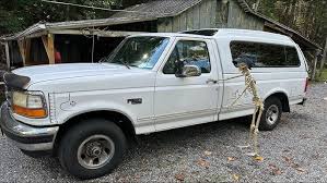 Image result for Pumice 1995 Ford