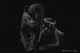 La Decision De Nacor C 48 Tatuaje A Conjunto Page 4 Wattpad Las panteras son animales increibles, por un lado, pueden ser unas fieras incesantes cuando quieren defender a tattoos de panteras negras tribales. la decision de nacor c 48 tatuaje a