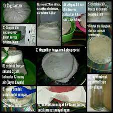 Minyak kelapa dara adalah sebutan lain bagi virgin coconut oil. Cara Buat Minyak Kelapa Dara Vco Healthy And Slim Facebook