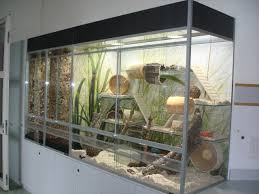 Pin By K Butterfield On Hamster Hamster Diy Hamster Live Baby Hamster