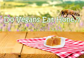 1 Reason Why Vegans Do Not Eat Honey Cool As Vegan
