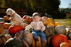 Thankful for Fun! — Hahn's Gymnastics