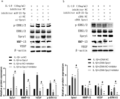 I saw the movie three weeks ago. Mir 21 5p Regulates Extracellular Matrix Degradation And Angiogenesis In Tmjoa By Targeting Spry1 Arthritis Research Therapy Full Text