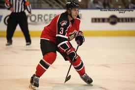 The head and wings of an eagle; Shl Collegehockeyplayers