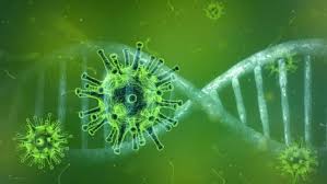 Elevii intră, vineri, în vacanţa de vară, care se va încheia în 10 septembrie. H6pyrcmtq0jnm