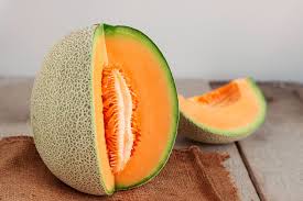 Can Dogs Eat Cantaloupe