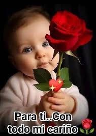 MIS FLORES BELLAS FELIZ NOCHE HASTA MAÑANA  🌹💐🌹💐🌹💐🌹💐🌹💐🌹💐🌹💐🌹💐🌹