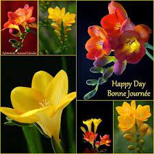 Https Www Facebook Com Mcvmvr Photos A 497286116988156 134560 497254576991310 1400268963356529 Good Morning Picture Good Morning Greetings Good Morning Happy